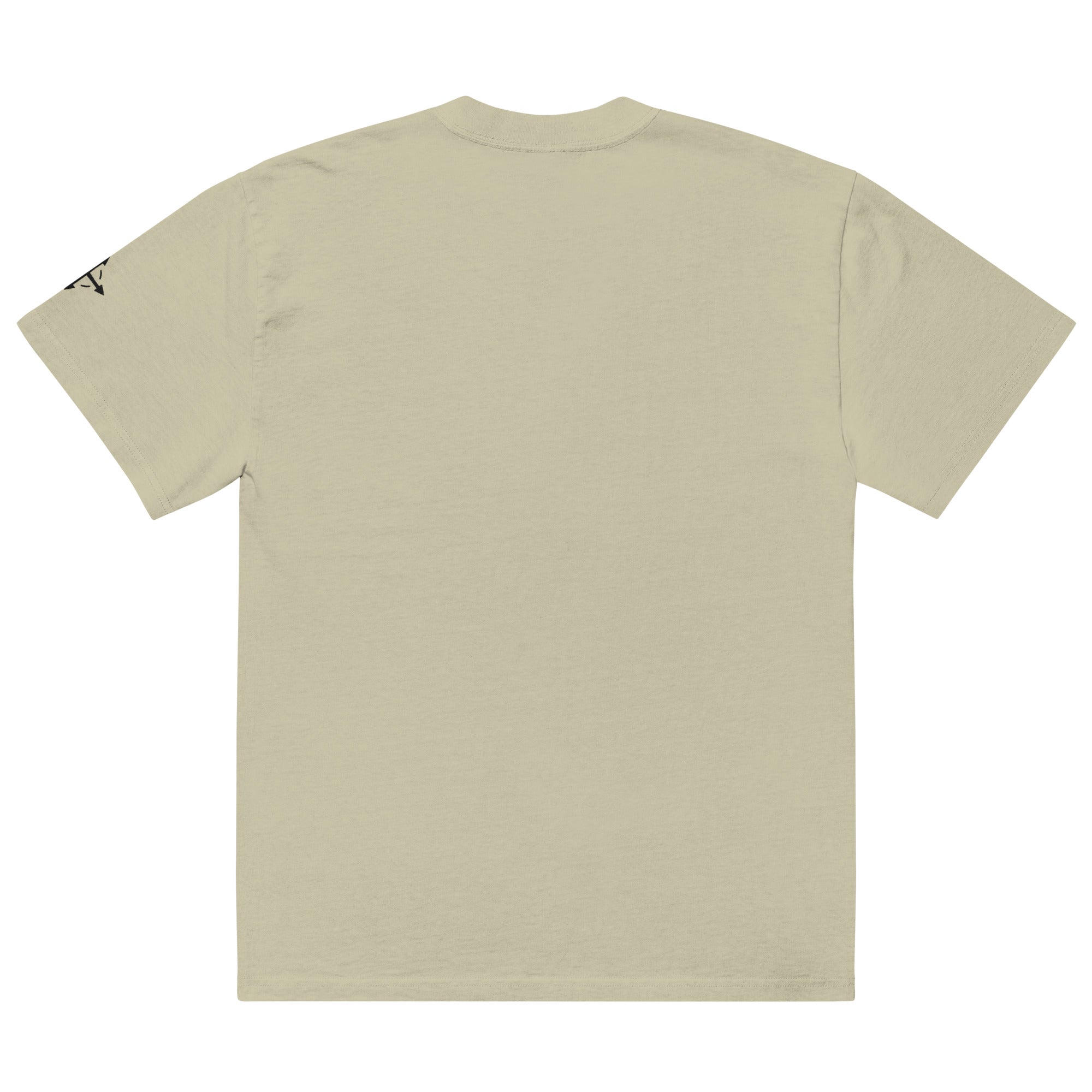 SW SANCTIFIED Oversized Faded T-shirt - Eucalyptus - Great Commission Company